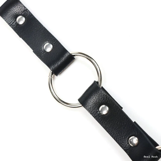 5853 Anal with Collar and Hook EverydayUse Leash Kinky 1010